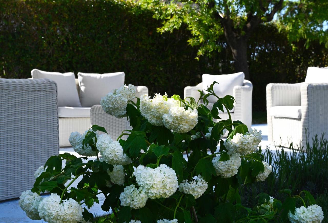Aura Relais Bed and Breakfast Numana Buitenkant foto